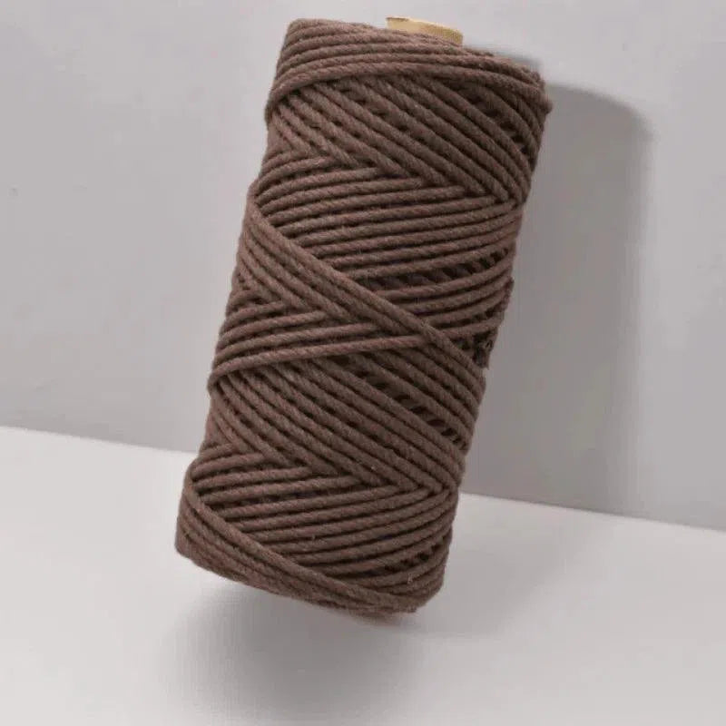 Bobine de fil marron, idéale pour les projets créatifs de bricolage et de décoration. Ce fil robuste est parfait pour le tissage, le macramé, et d'autres activités artisanales, apportant une touche naturelle et élégante à vos créations. Convient aussi bien aux débutants qu'aux experts en loisirs créatifs. Parfait pour les projets artistiques nécessitant un fil fiable et esthétiquement plaisant.