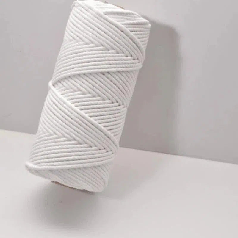 Bobine de corde blanche de haute qualité pour macramé et projets créatifs. Polyvalente et durable, elle convient parfaitement pour la décoration intérieure, le jardinage et les loisirs créatifs. Idéale pour les amateurs de DIY cherchant à réaliser des créations artisanales élégantes et résistantes.