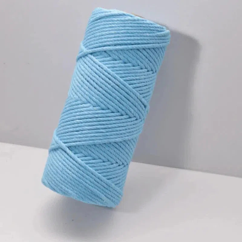 Bobine de corde turquoise pour loisirs créatifs, idéale pour le macramé et l'artisanat. Projet personnalisable pour décoration intérieure et réalisation d'accessoires mode. Longueur généreuse pour divers projets créatifs. Excellent pour les débutants comme les experts en travaux manuels.
