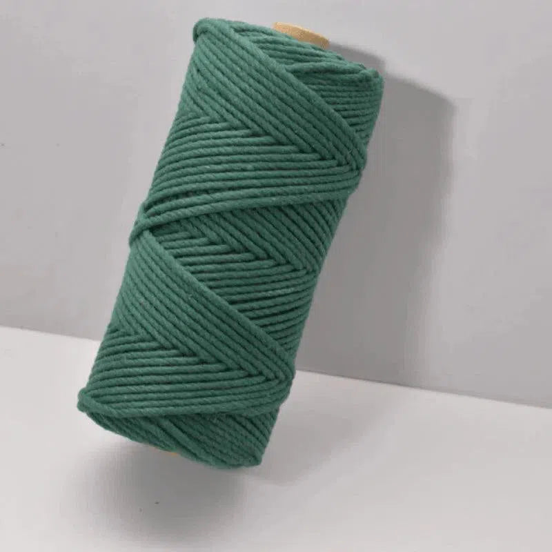 Bobine de fil vert pour macramé, idéale pour loisirs créatifs et projets de décoration intérieure. Appropriée pour créations artisanales, accessoires et décorations personnalisées. Parfaite pour amateurs et professionnels du bricolage et de l’artisanat.