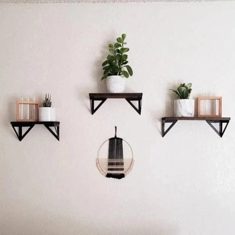 Étagères murales modernes avec design minimaliste, parfaites pour la décoration intérieure. Exposez vos plantes ou objets de décoration préférés sur ces étagères stylées qui optimisent l'espace mural. Idéales pour un salon ou une chambre contemporaine.
