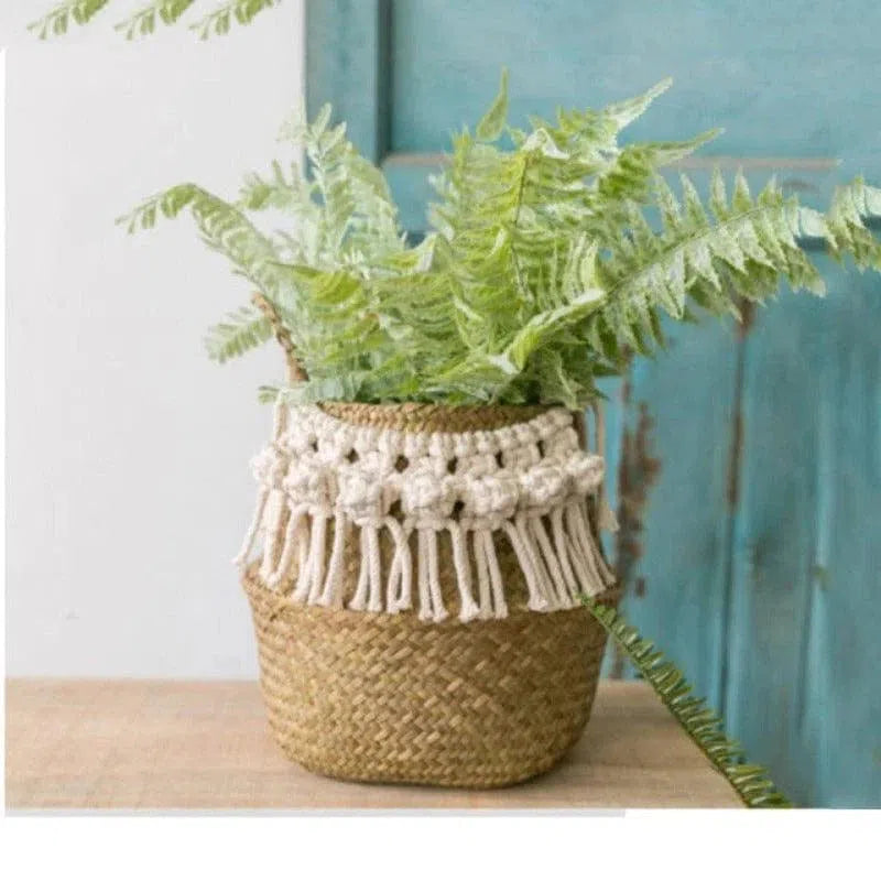 Pot de fleurs élégant avec décor de franges blanches, parfait pour ajouter une touche naturelle et bohème à votre intérieur. Idéal pour les plantes décoratives, ce pot rehausse l'esthétique de tout espace de vie grâce à son design artisanal unique et sa finition soignée. Transformez votre maison en un havre de paix avec cet accessoire décoratif tendance.