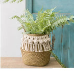 Pot de fleurs élégant avec décor de franges blanches, parfait pour ajouter une touche naturelle et bohème à votre intérieur. Idéal pour les plantes décoratives, ce pot rehausse l'esthétique de tout espace de vie grâce à son design artisanal unique et sa finition soignée. Transformez votre maison en un havre de paix avec cet accessoire décoratif tendance.