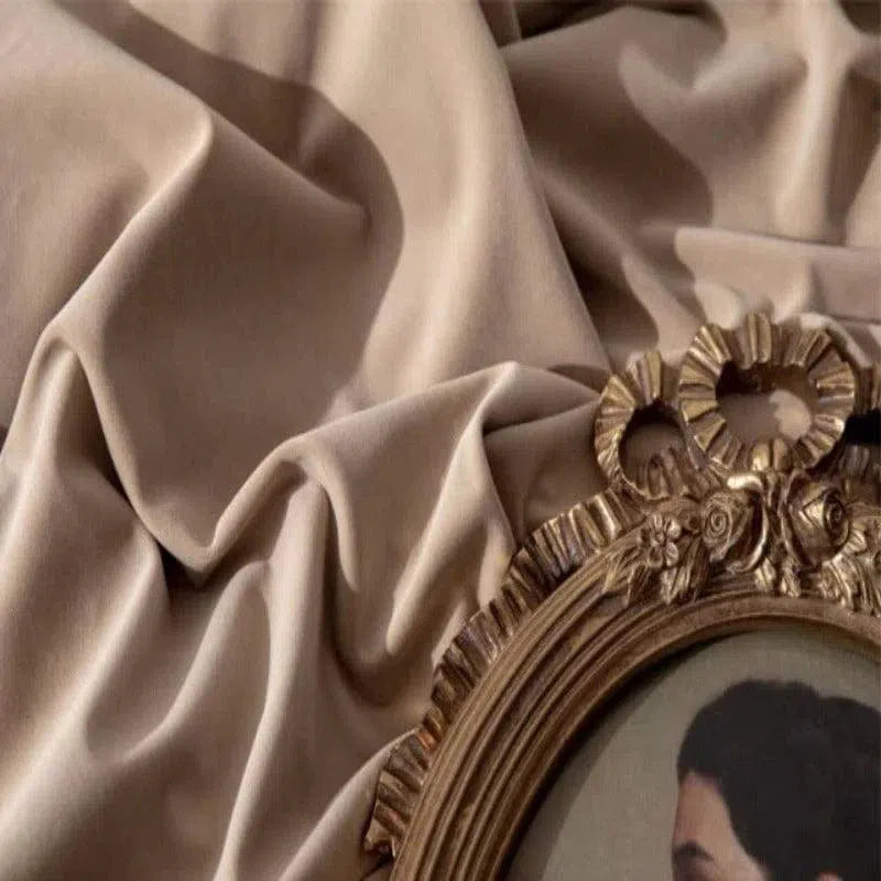 Rideau élégant beige avec reflet, design contemporain, idéal pour salon chic, style intemporel, décoration intérieure sophistiquée, ambiance chaleureuse, cadre et portrait ancien, touches de doré, décoration raffinée.