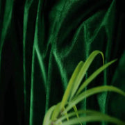 rideau velours vert foncé opacité totale plis verticaux élégant isolation thermique 100x245cm 150x250cm