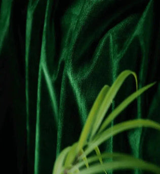 Image d'un fond vert profond associée à une touche naturelle de feuilles, évoquant une ambiance luxuriante et élégante. Parfait pour les décorations intérieures modernes et apaisantes.